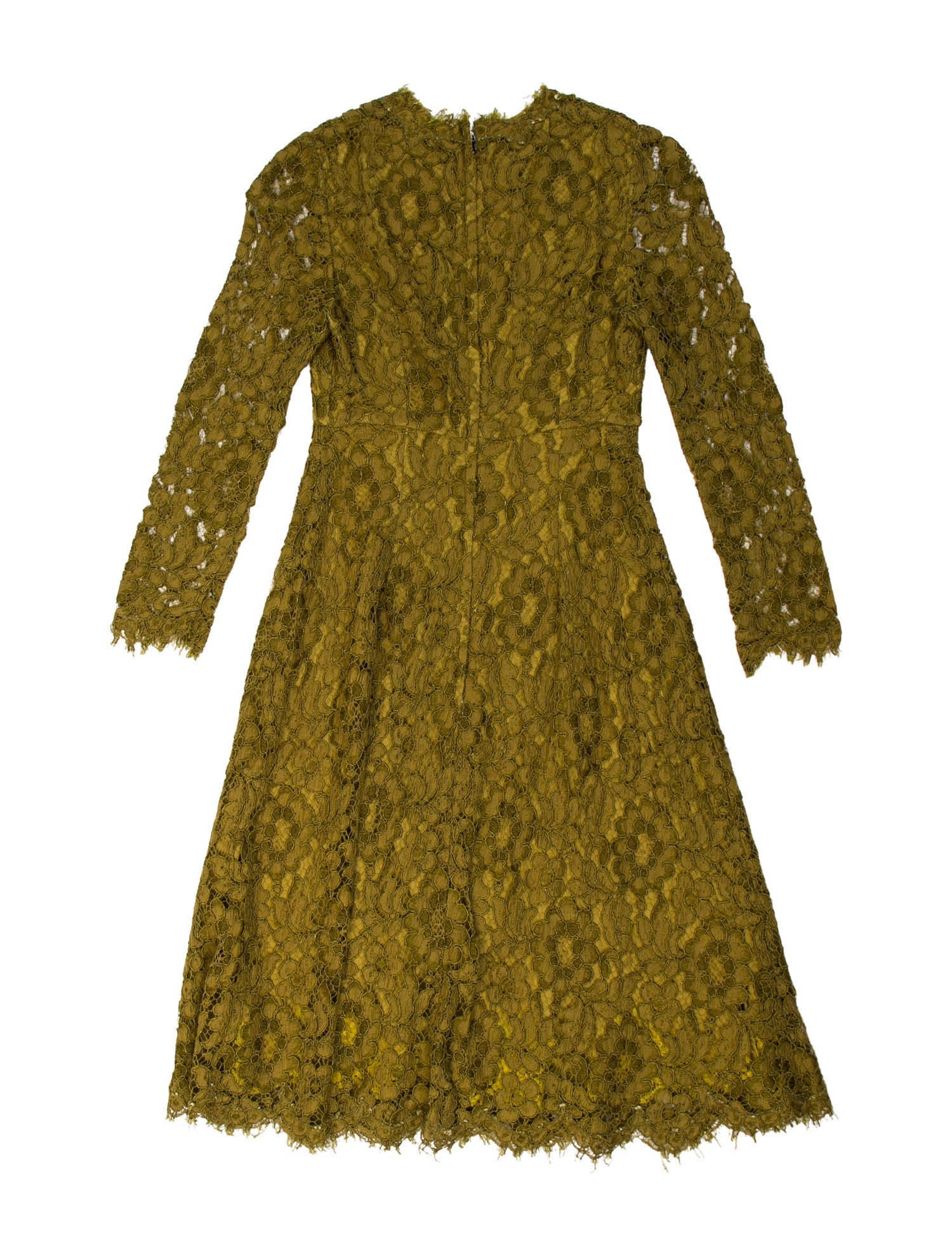 Dolce & Gabbana Floral Print Knee-Length Dress