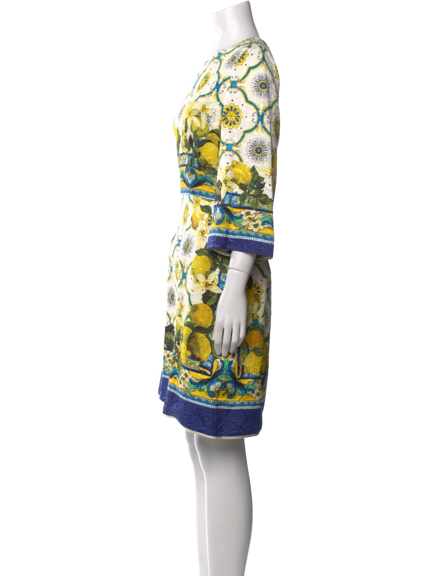 Dolce & Gabbana Printed Knee-Length Dress