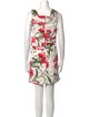 Dolce & Gabbana Floral Print Mini Dress