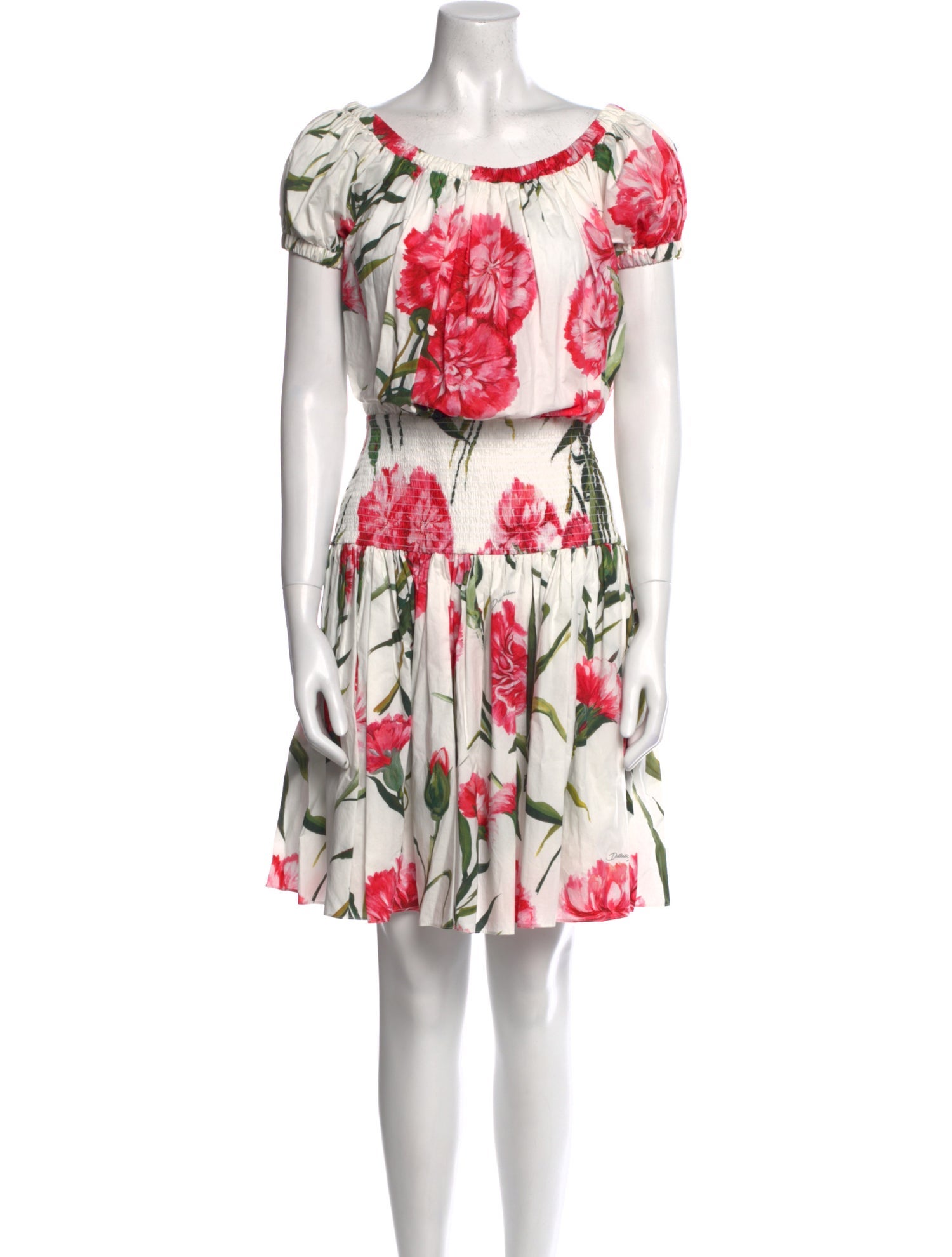Dolce & Gabbana Floral Print Mini Dress