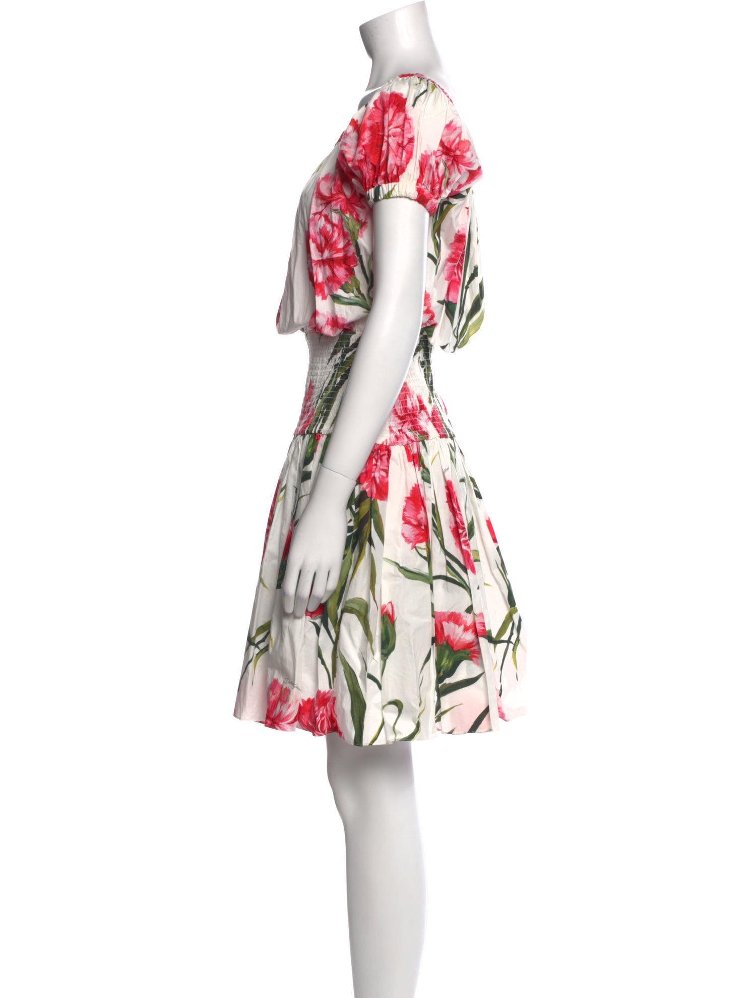 Dolce & Gabbana Floral Print Mini Dress