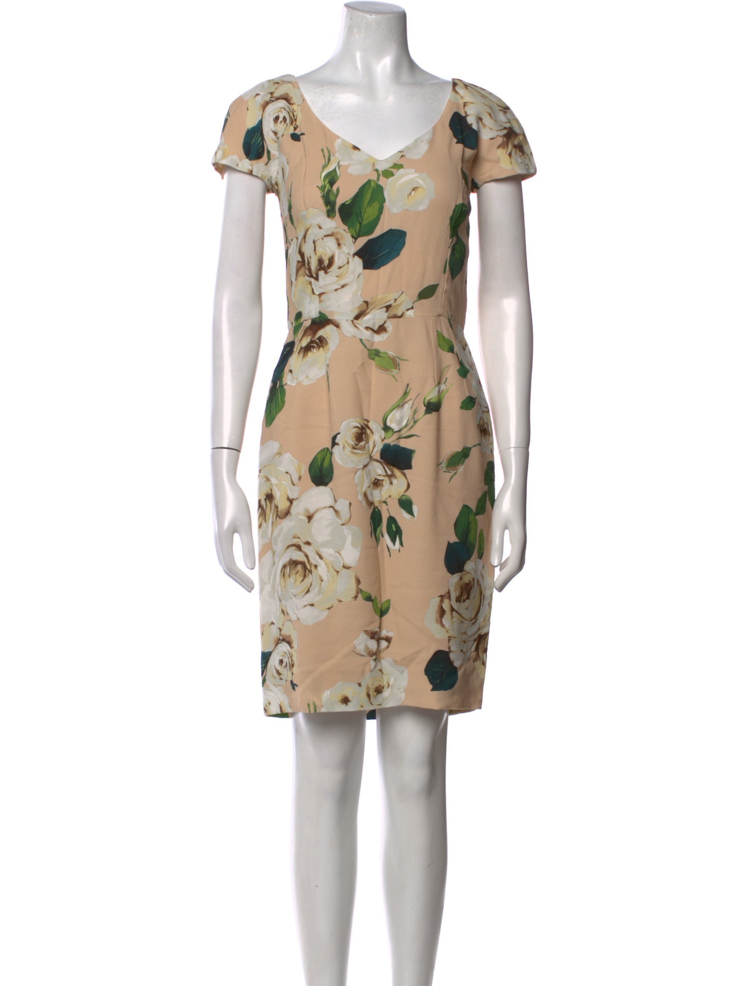 Dolce & Gabbana Printed Mini Dress