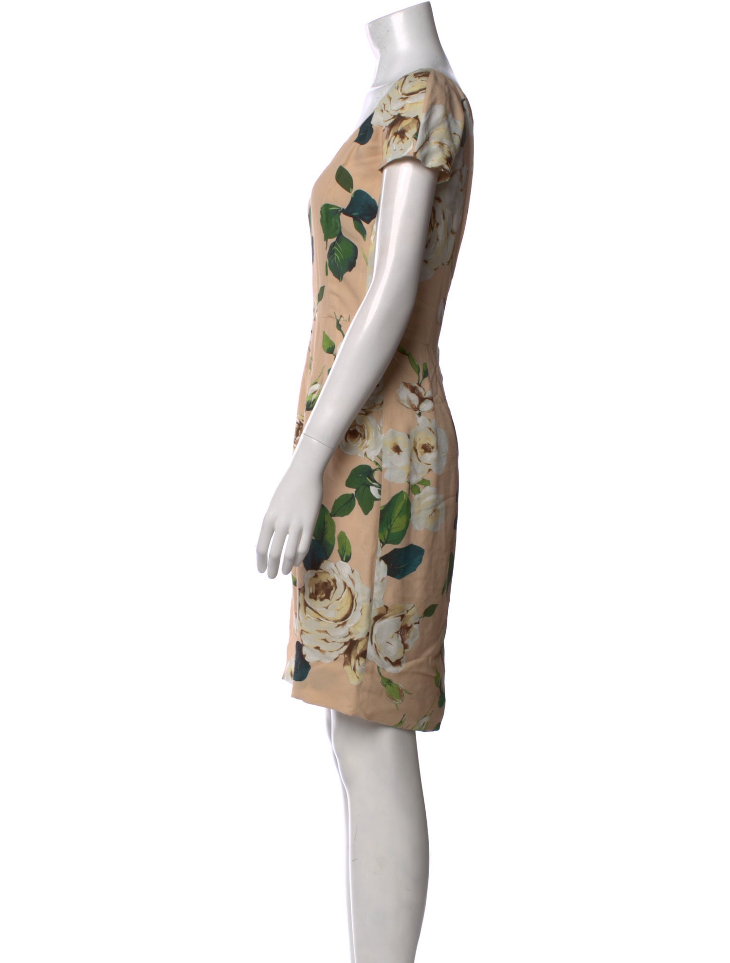 Dolce & Gabbana Printed Mini Dress