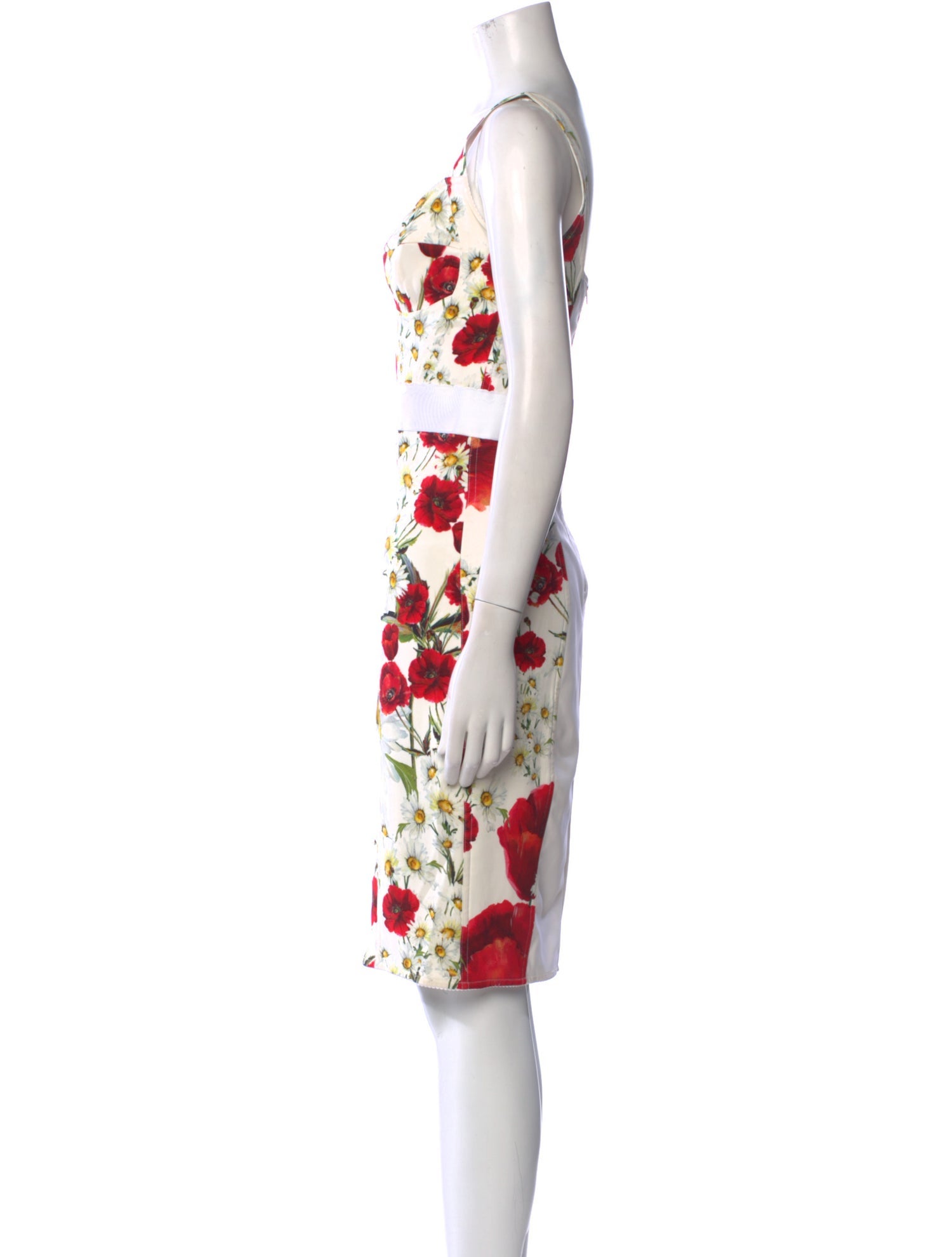 Dolce & Gabbana Floral Print Knee-Length Dress