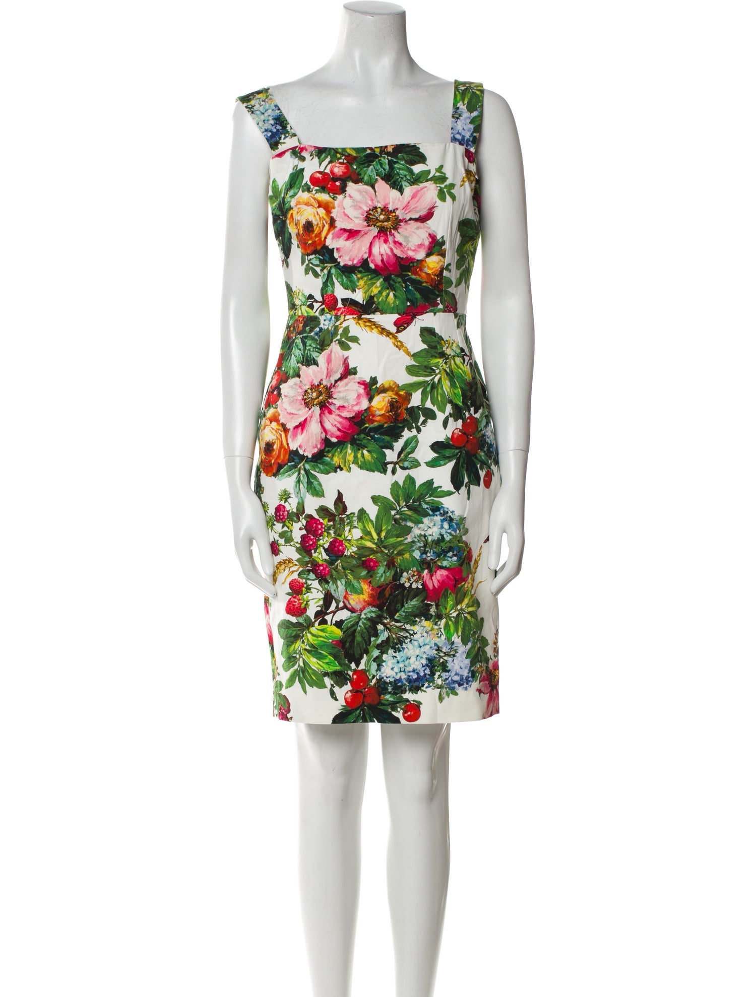Dolce & Gabbana Floral Print Mini Dress