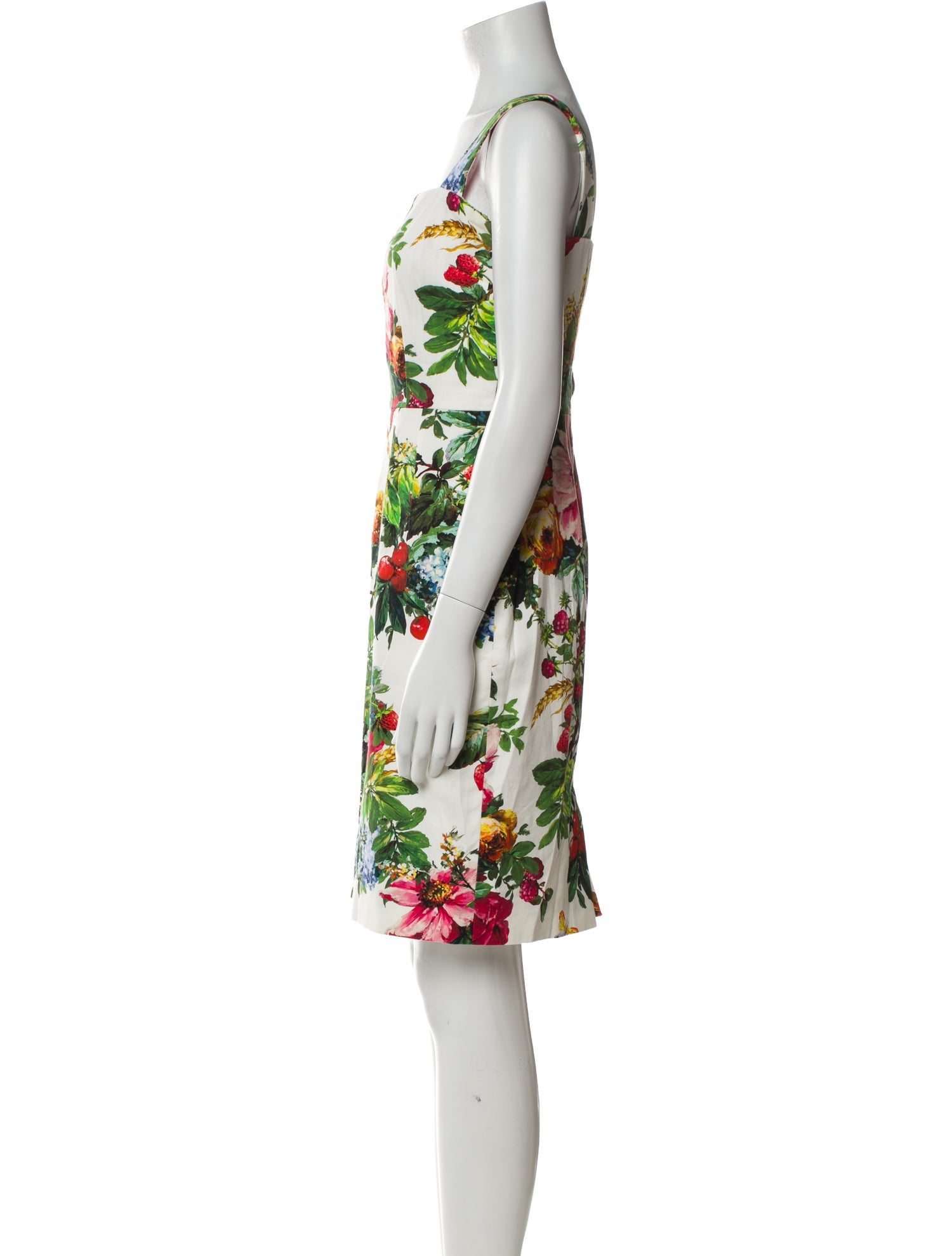 Dolce & Gabbana Floral Print Mini Dress