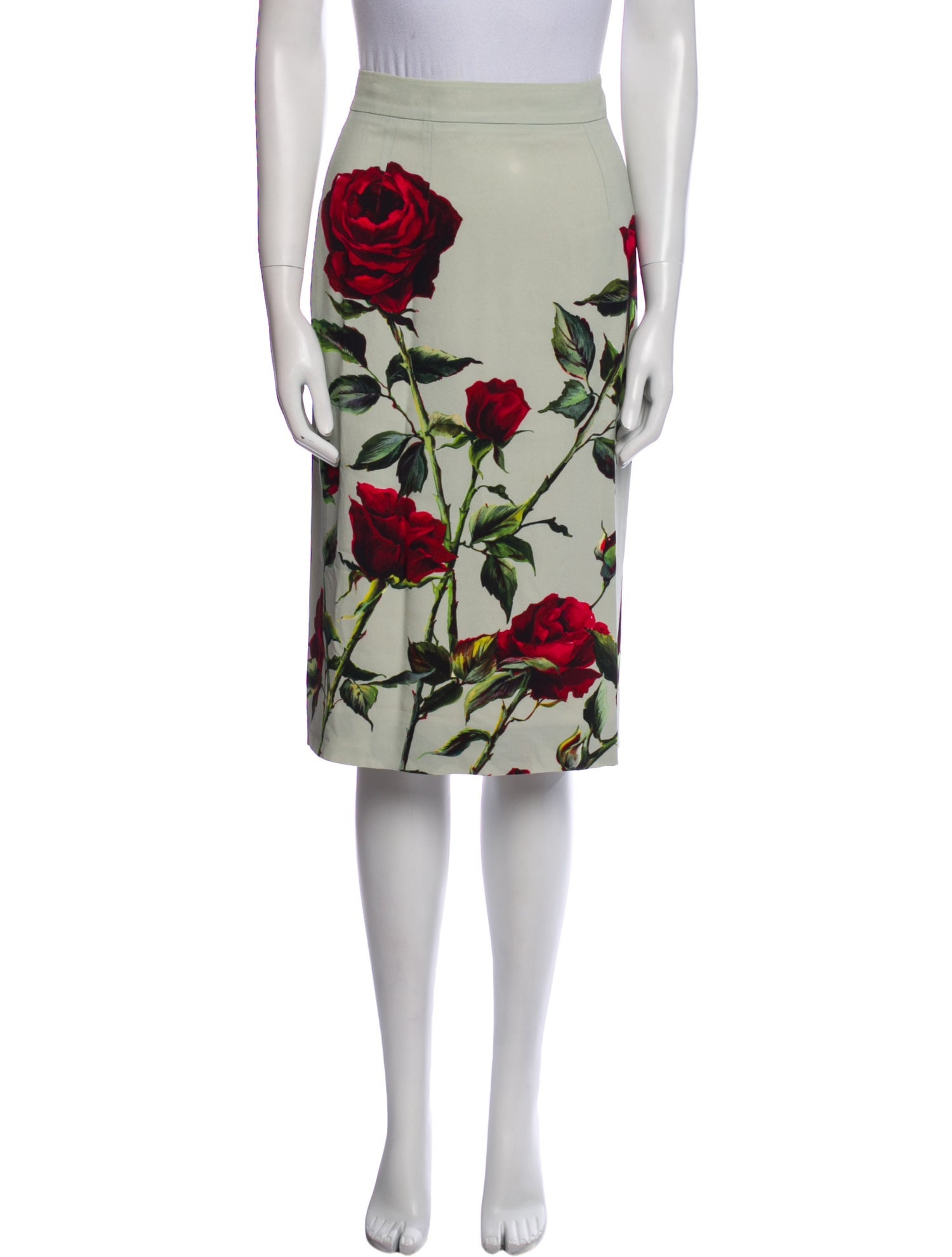 Dolce & Gabbana Floral Print Knee-Length Skirt