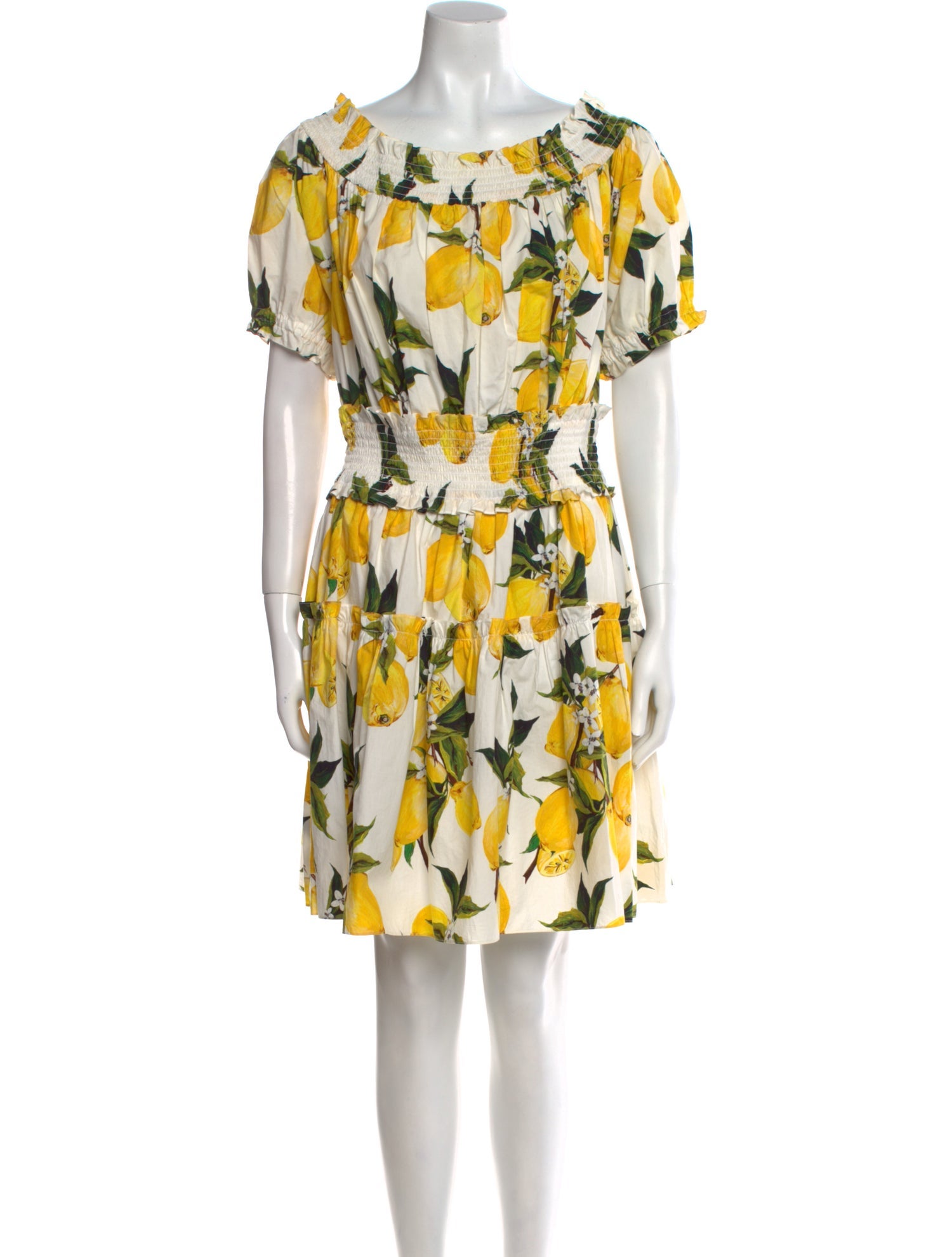 Dolce & Gabbana Printed Mini Dress