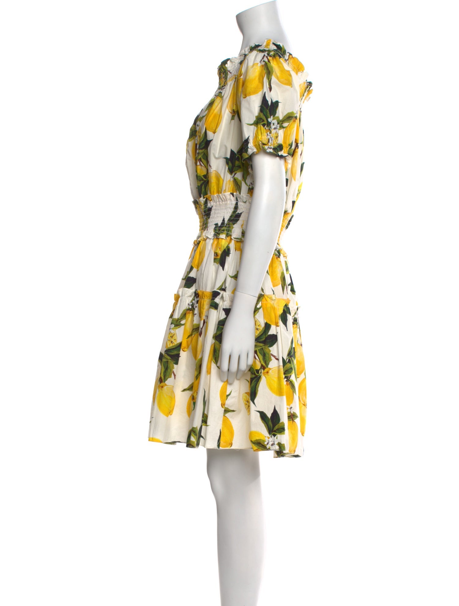 Dolce & Gabbana Printed Mini Dress