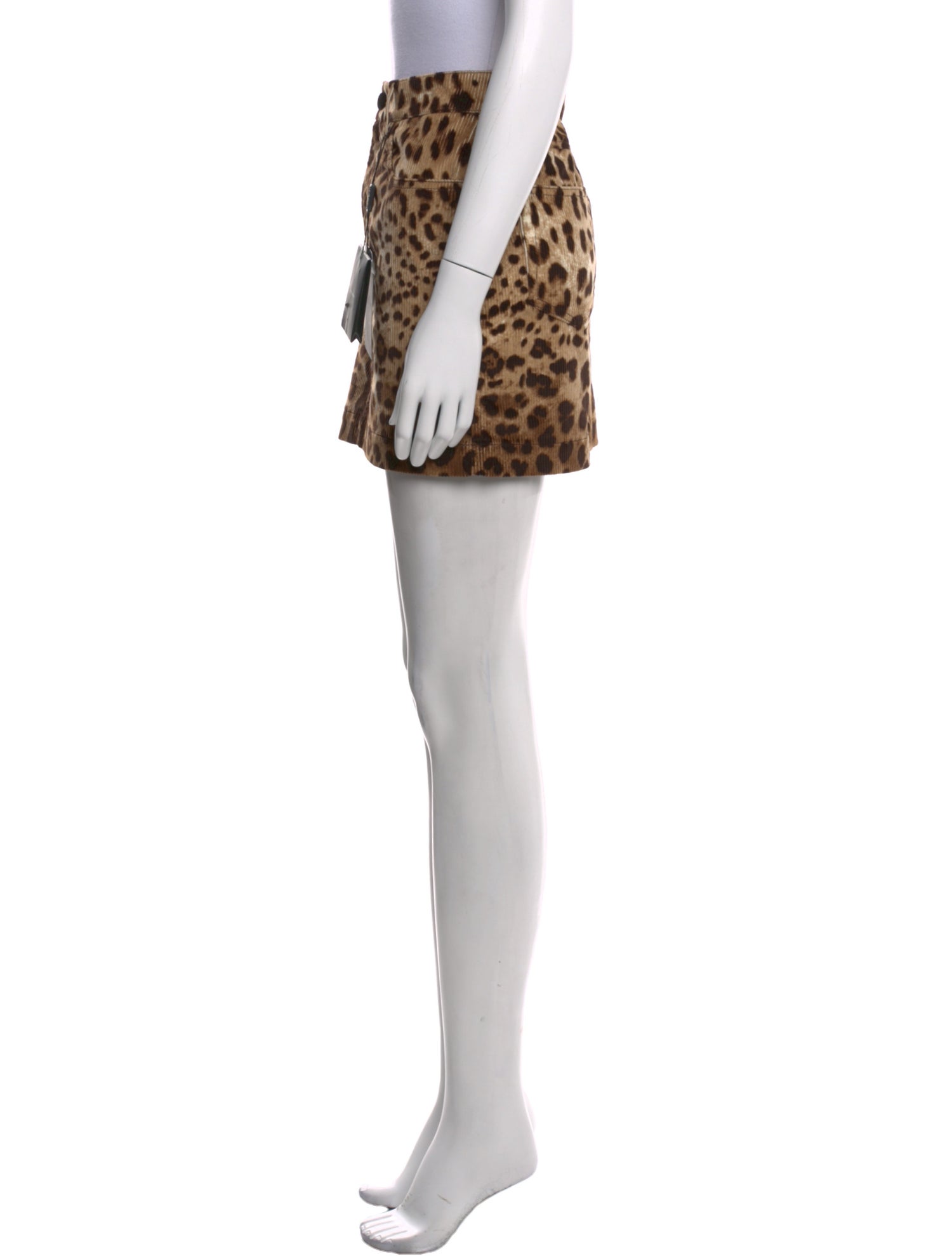 Dolce & Gabbana Animal Print Mini Skirt