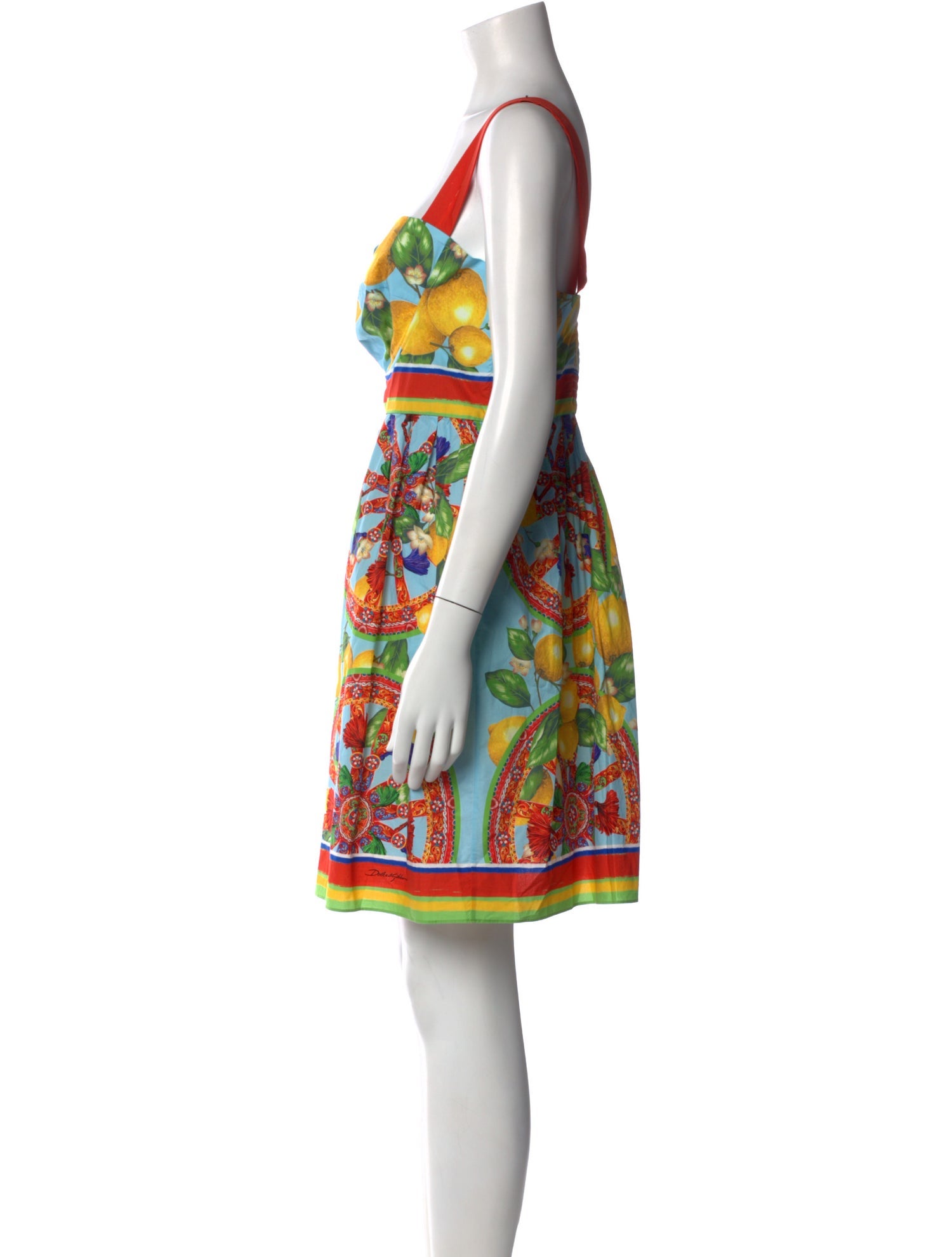 Dolce & Gabbana Printed Mini Dress