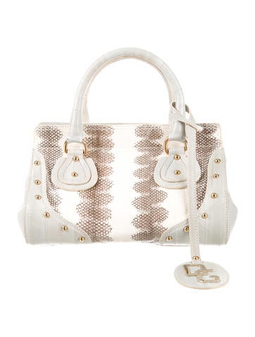 Dolce & Gabbana Lizard & Eel Skin Handle Bag