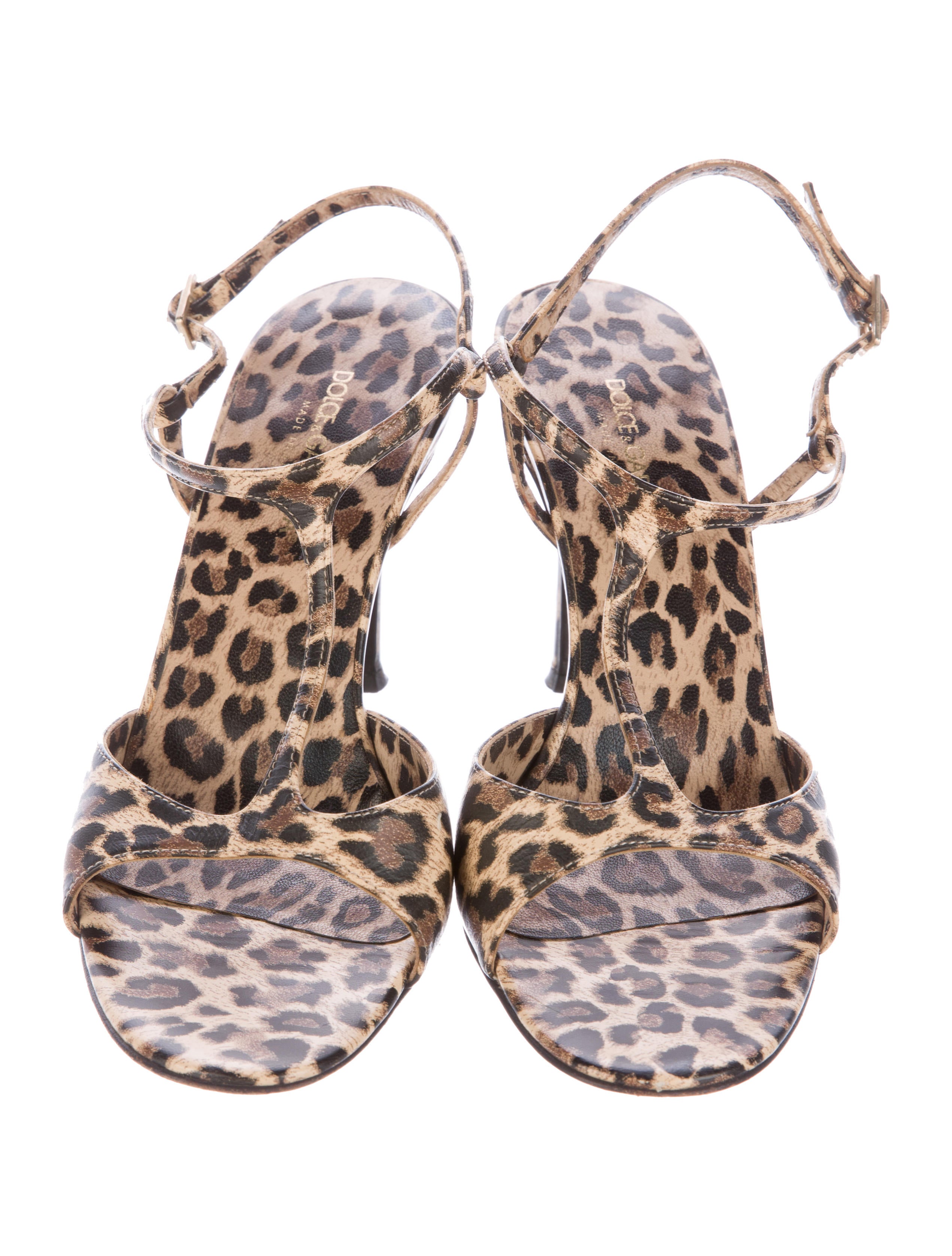leopard t sandals dolce gabbana leopard printed t sandals shoes leopard t sandals dolce gabbana leopard printed t sandals shoes