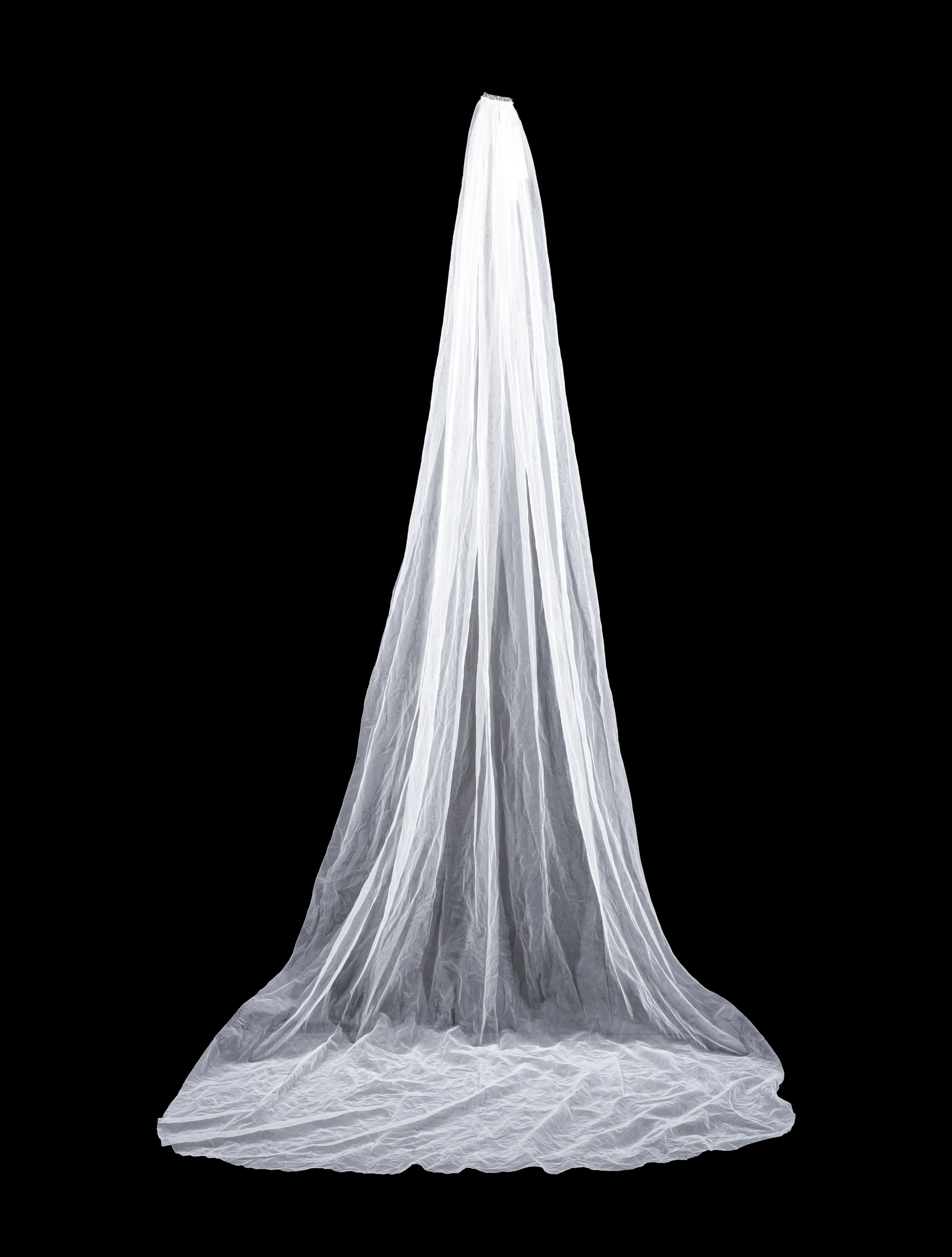 Danielle Frankel Veil w/ Tags