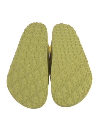 DIOR x Birkenstock Tokio Suede Sandals