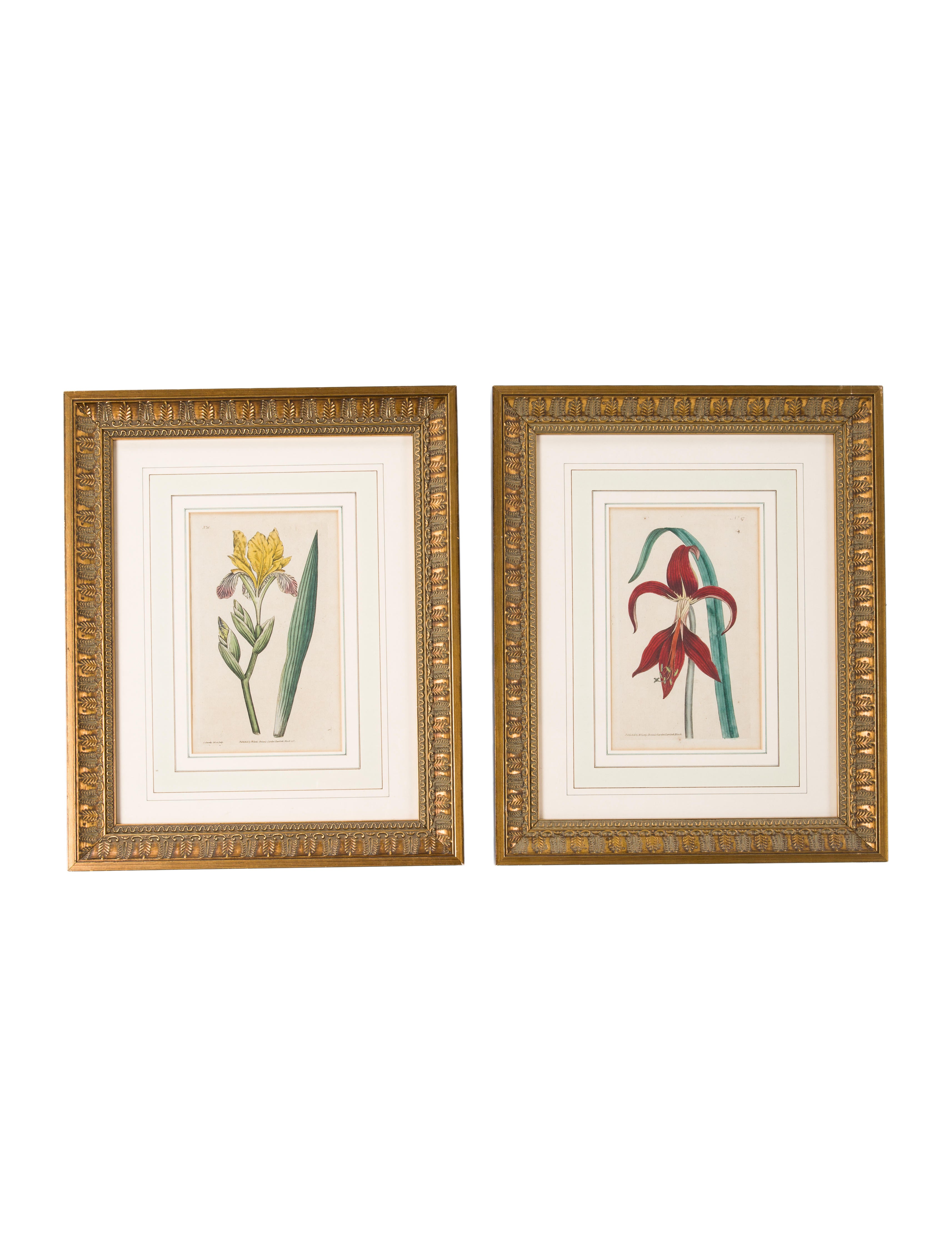 Pair Of Framed Botanical Prints Decor And Accessories Decor22665 Pair Of Framed Botanical Prints