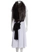 Dennis Basso Fur Printed Stole