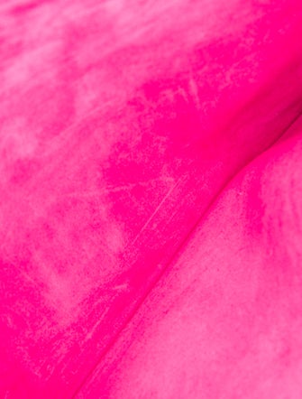 Dee Ocleppo Python Clutch