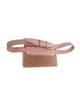 D'estree Shearling Belt Bag