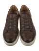 Di Bianco Leather Sneakers