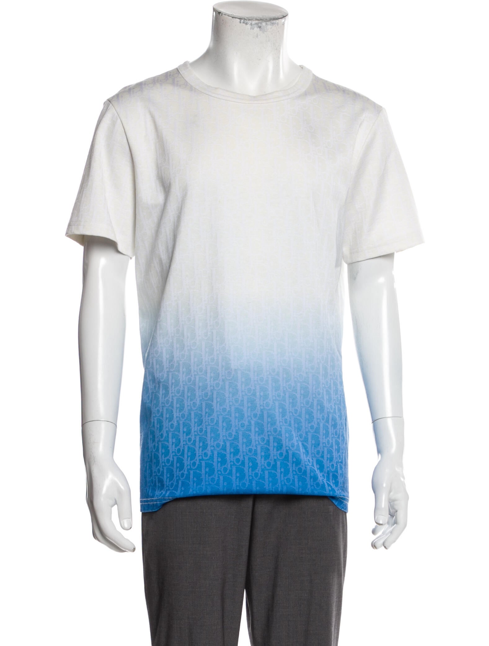 DIOR MEN 2020 Gradient Oblique T-Shirt - White T-Shirts