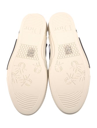 DIOR x Peter Doig B23 'Buckle' Sneakers