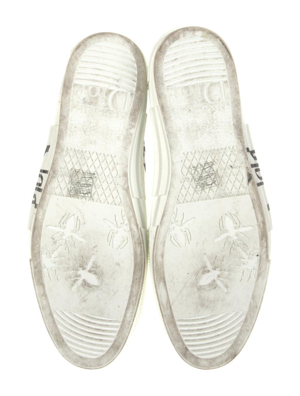 dior and shawn sneakers
