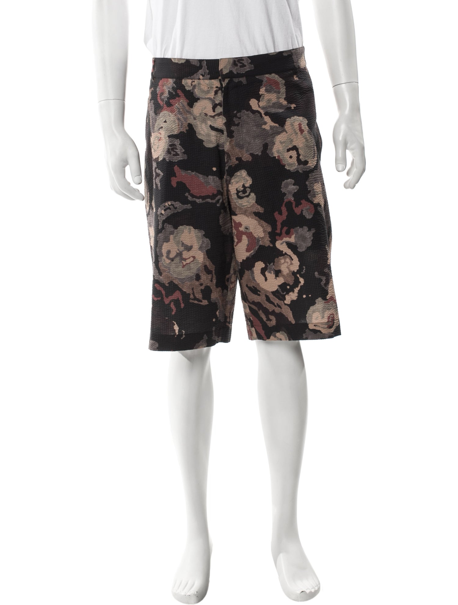 DIOR x Peter Doig 2020 Flat Front Shorts