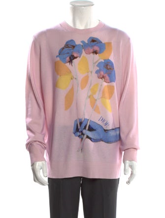 DIOR MEN 2020 X Alex Foxton Pullover