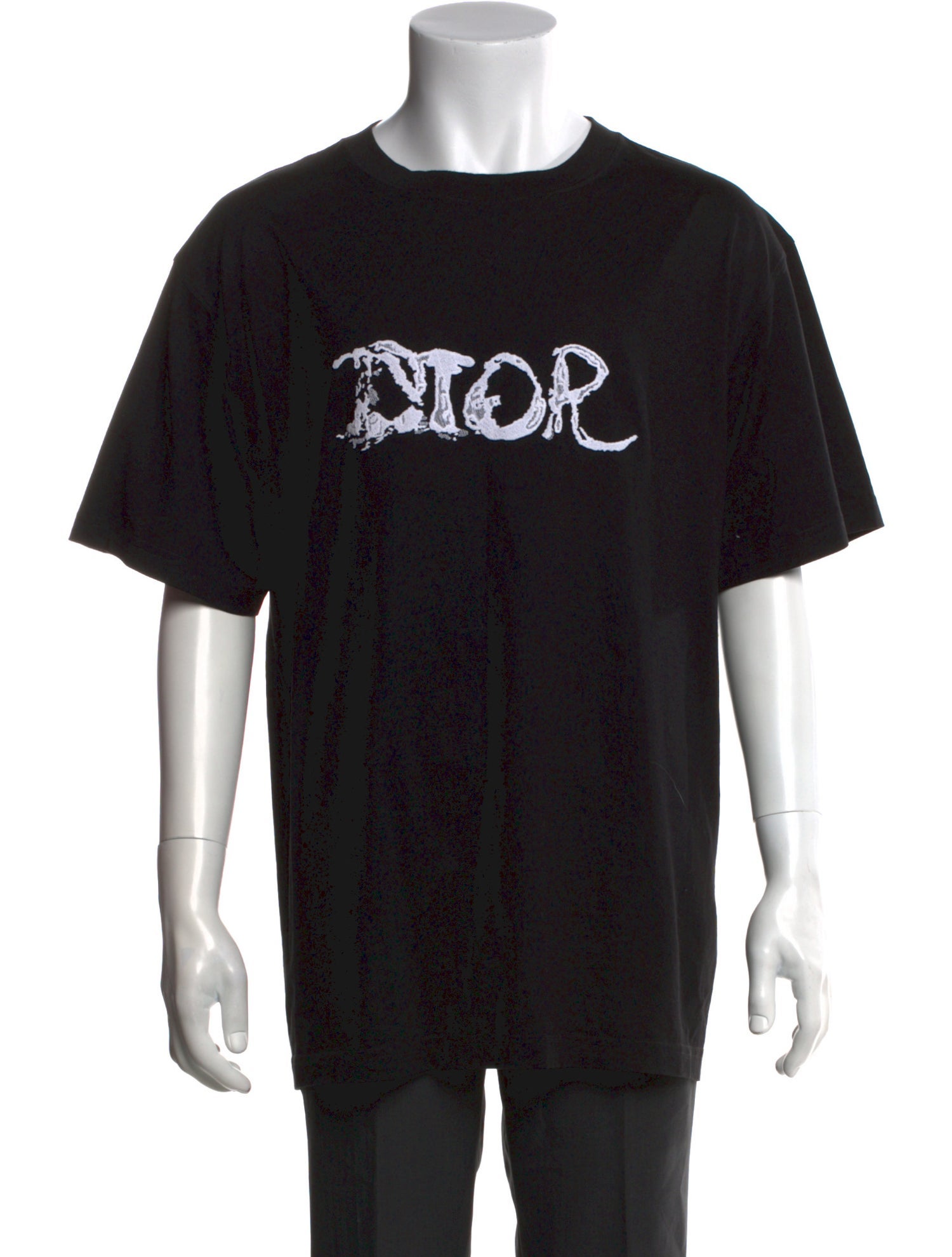 DIOR x Peter Doig 2021 Graphic Print T-Shirt