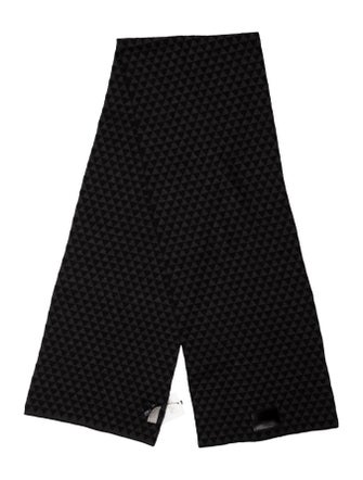 Dior Homme Wool Printed Scarf