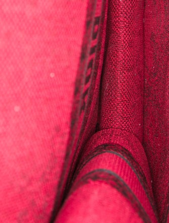 Christian Dior Canvas Tote 2022