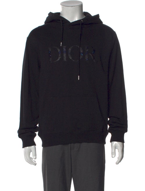 DIOR x Peter Doig 2021 Signature Logo Hoodie