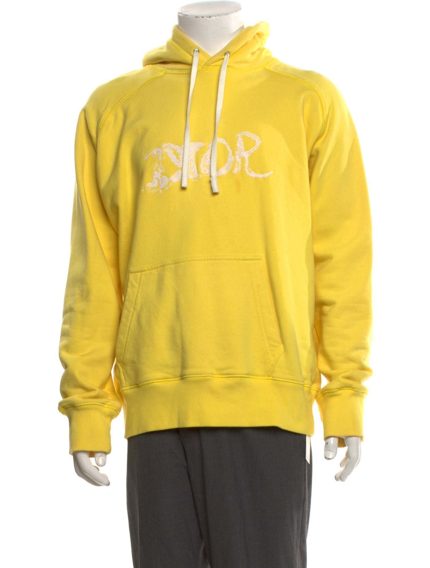 DIOR x Peter Doig Graphic Print Mock Neck Hoodie