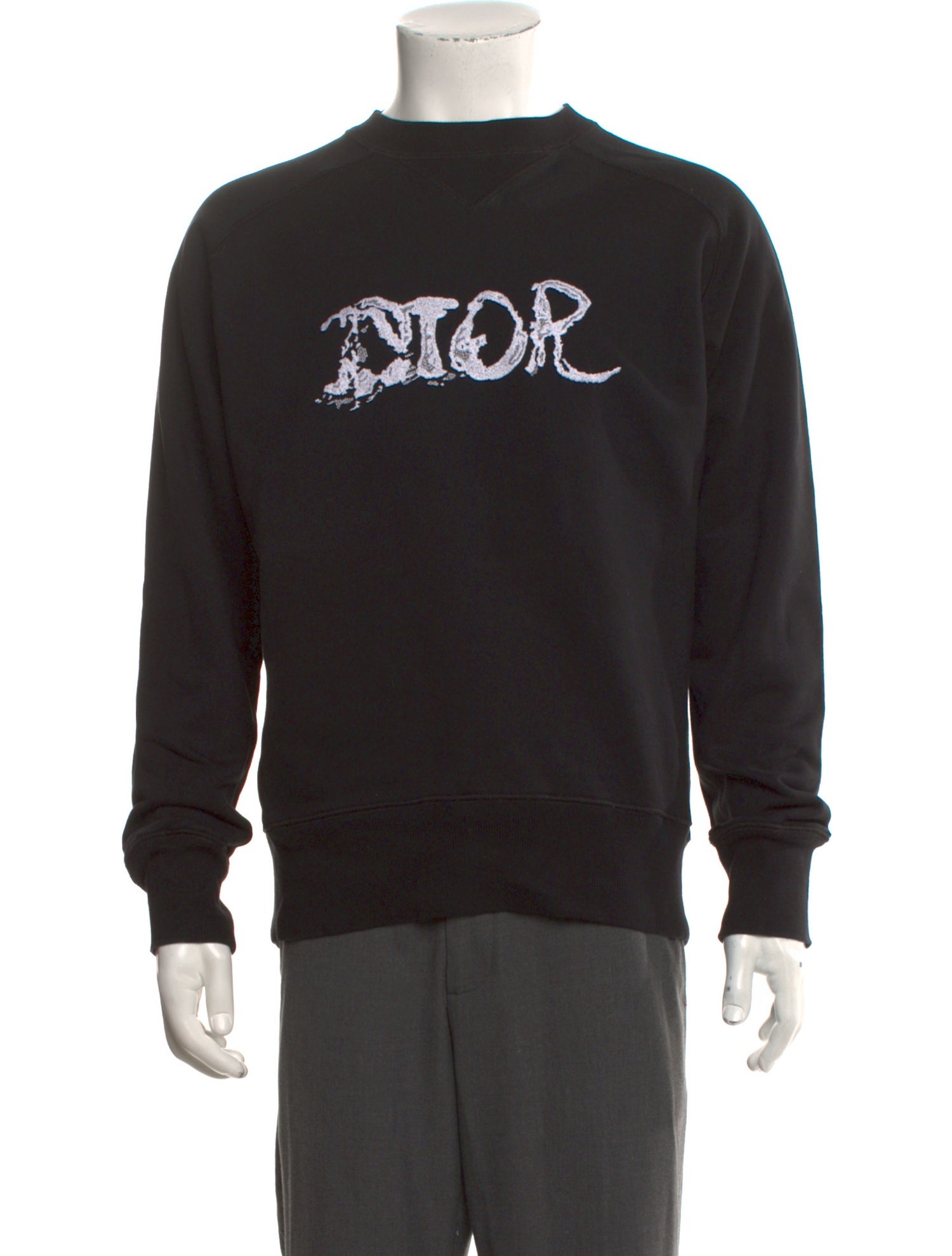 DIOR x Peter Doig 2021 Graphic Print Sweatshirt