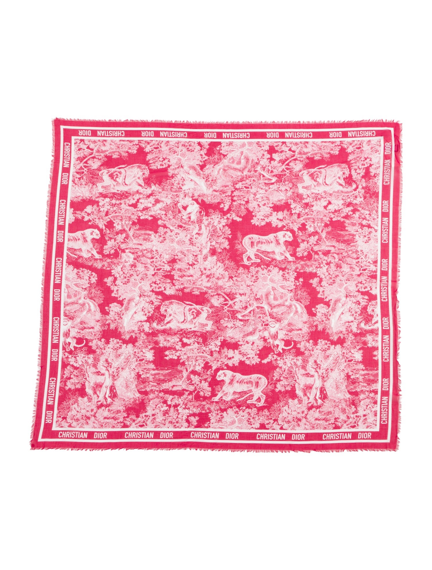 DIOR MEN Glitter Printed Scarf