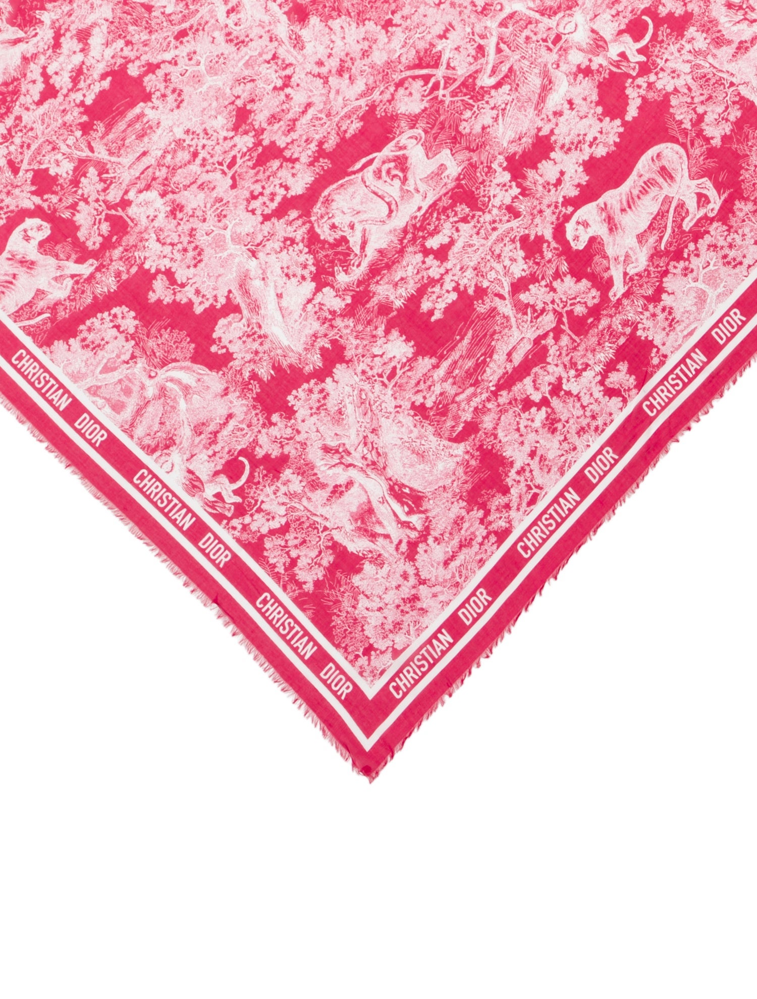 DIOR MEN Glitter Printed Scarf