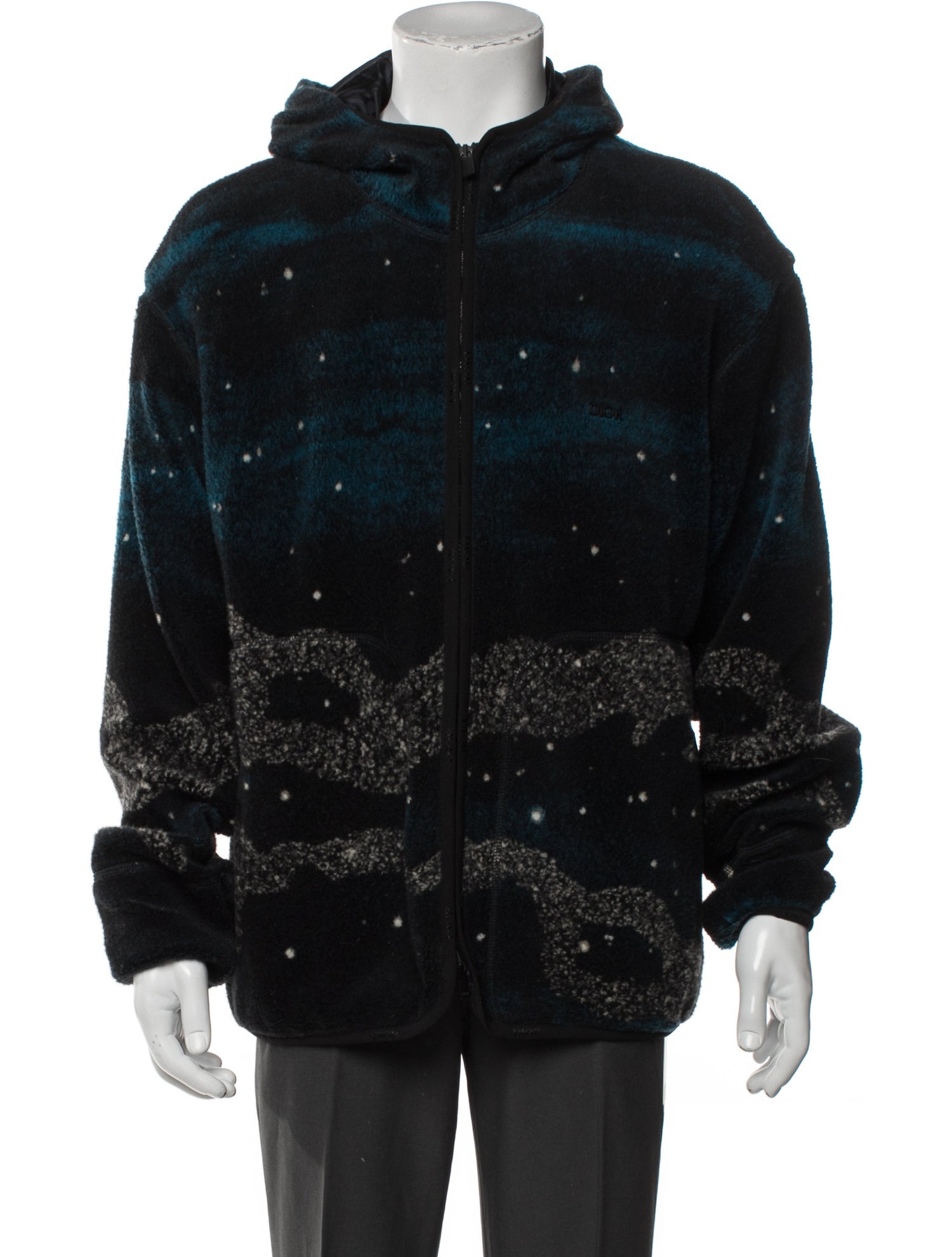 DIOR x Peter Doig | The RealReal