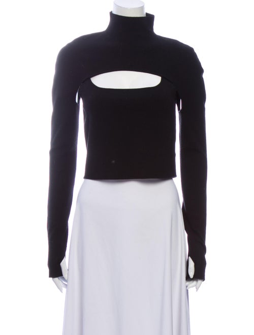 Dion Lee Merino Wool Turtleneck Sweater Wool