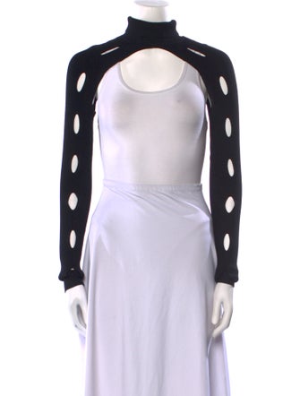 Dion Lee Turtleneck Sweater