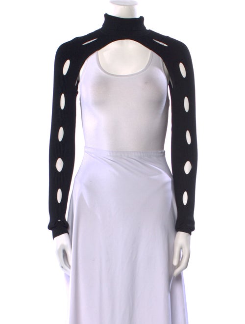 Dion Lee Turtleneck Sweater