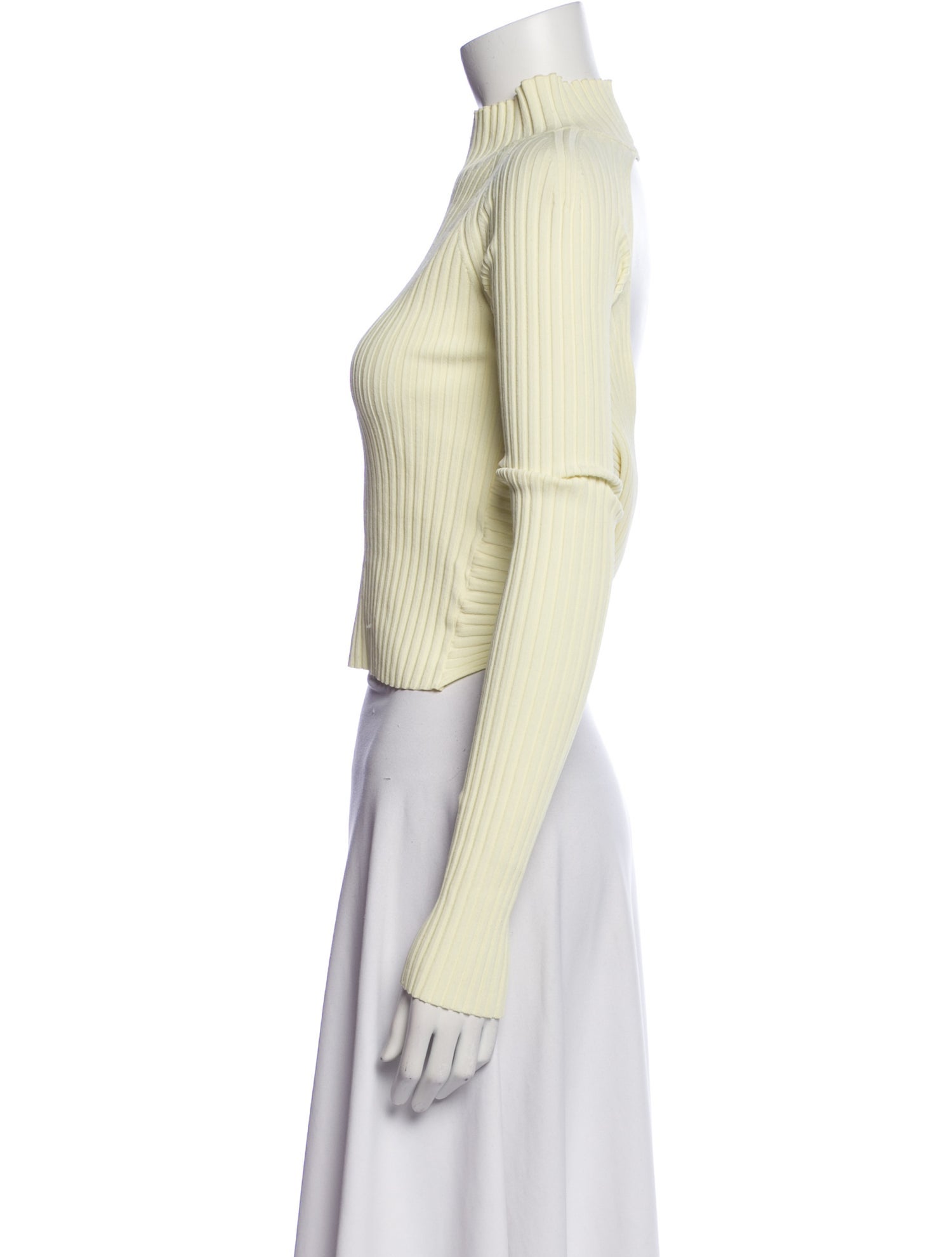 Dion Lee Mock Neck Long Sleeve Crop Top