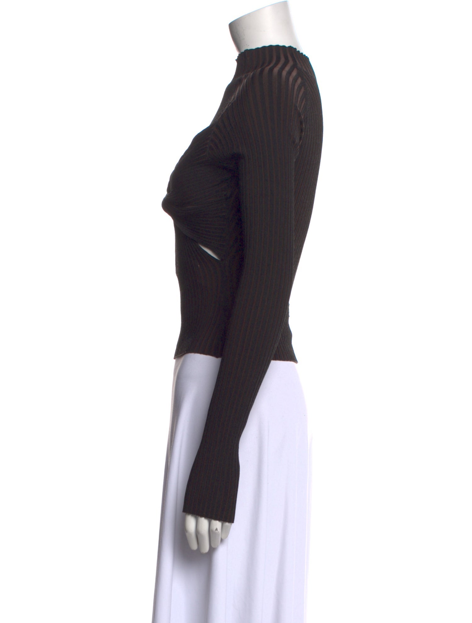 Dion Lee Mock Neck Long Sleeve Crop Top