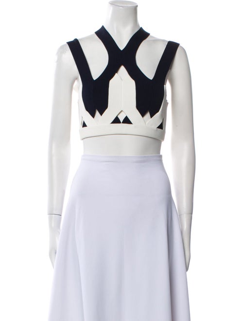 Dion Lee Printed V-Neck Crop Top