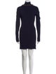 Dion Lee Turtleneck Mini Dress