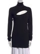Donna Karan Turtleneck Long Sleeve Tunic