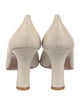 Donna Karan Suede Pumps