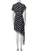 Donna Karan Printed Long Dress