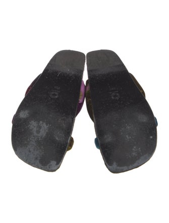 Dries Van Noten Velvet Printed Slides