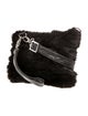 Dana Stein Lamb Fur Crossbody Bag